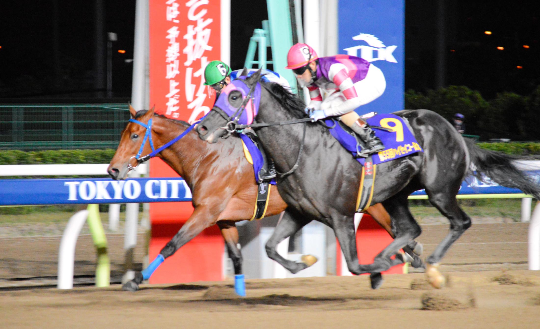 【地方競馬】マンダリンヒーローが無傷4連勝で2歳重賞V！矢野貴之が不屈の闘志で騎乗 競馬ニュース