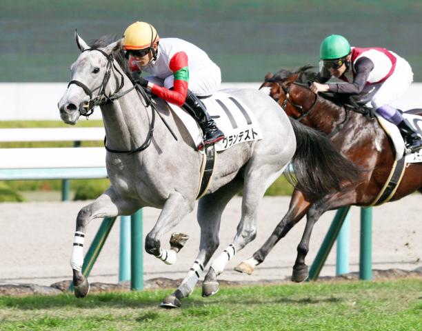 【2歳新馬評価】注目の配合グランテスト、坂井瑠星騎手「気性が難しい面にうまく向き合っていければ」