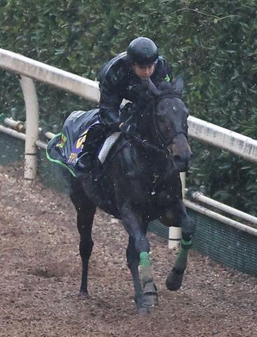 無敗3冠牝馬デアリングタクトはジャパンCへ｜競馬ニュース
