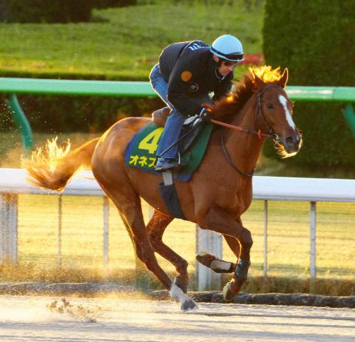 ジャパンc オネストvならビッグマネー 賞金 褒賞金で8億円超え シャフリヤールも褒賞金対象 競馬ニュース Netkeiba Com