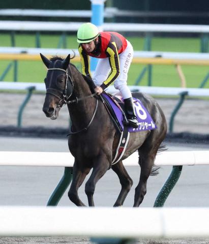 東京優駿 日本ダービー のニュース 最新情報 競馬まとめ Netkeiba Com