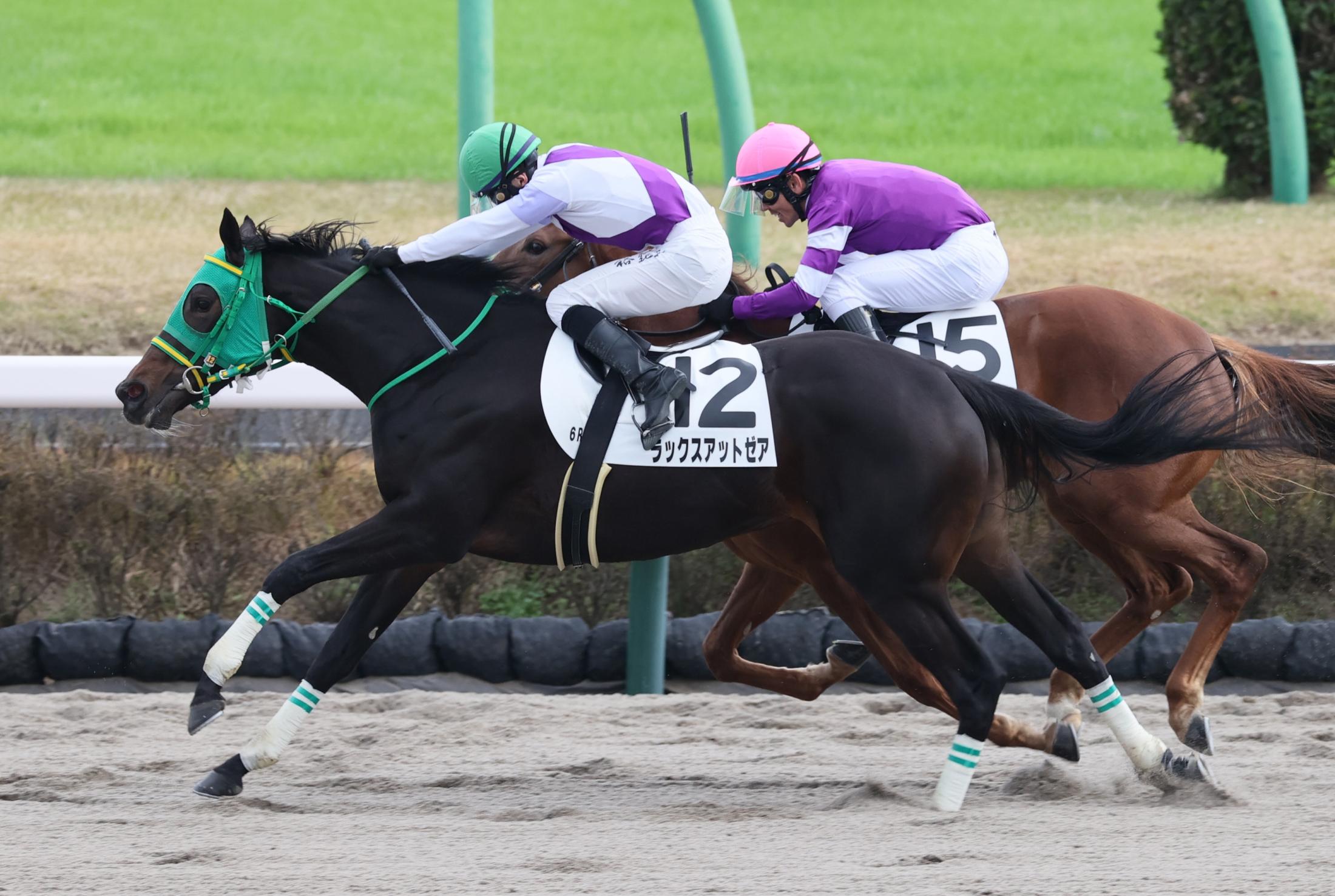 ラックスアットゼア　勝負根性見せた　「追走に苦労」もたたき合い制す