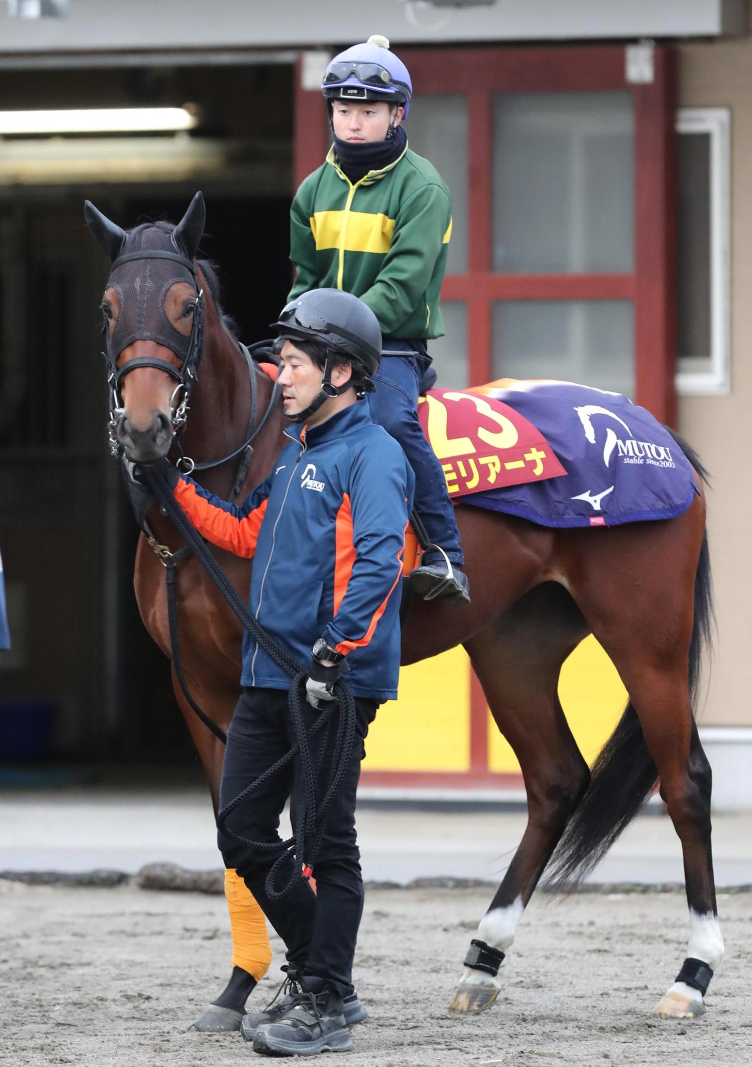 【阪神ＪＦ】２歳女王候補筆頭のモリアーナ　種牡馬のいい面引き出す牝系