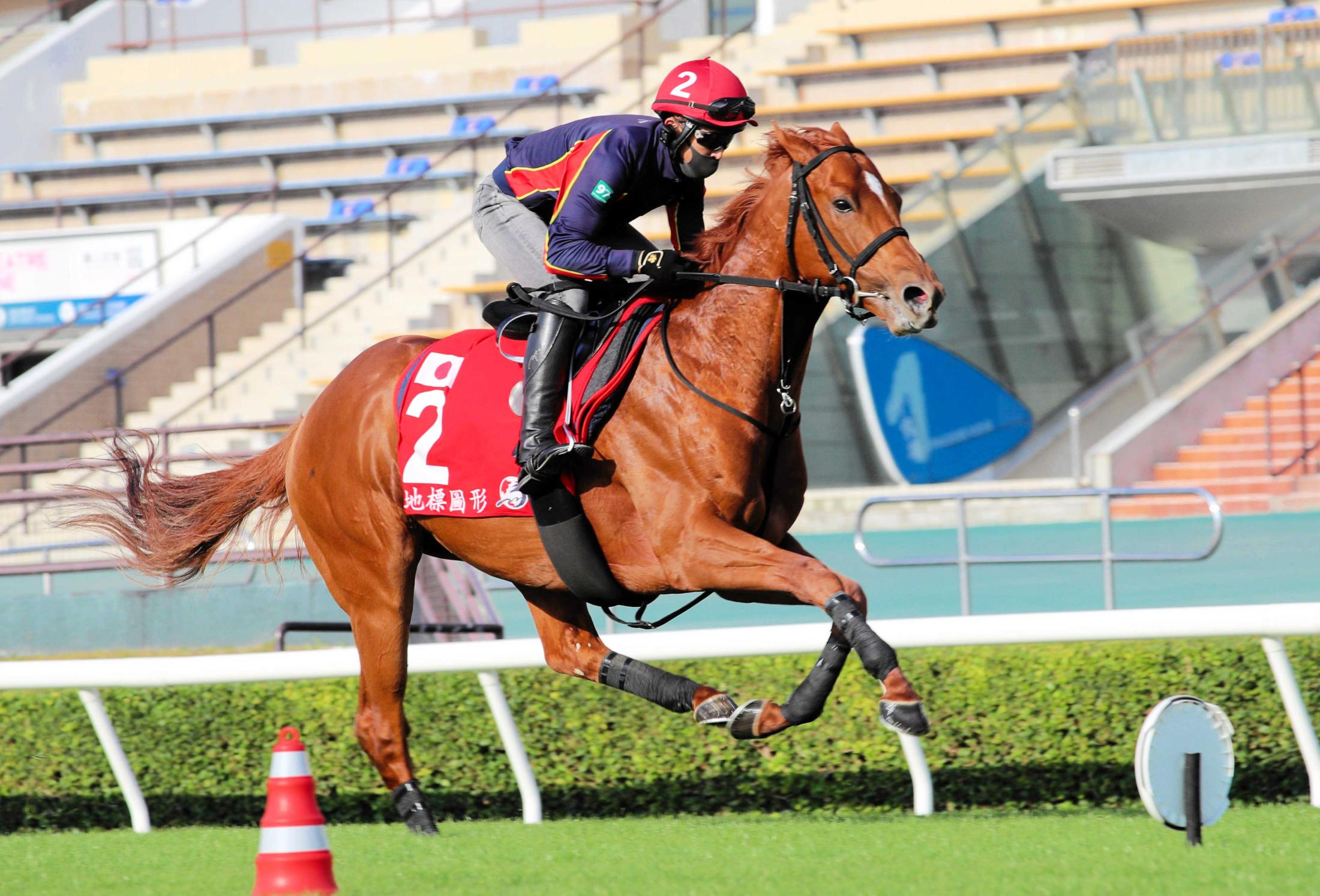 香港ｃ ジオグリフ ゲートは３番 木村師 自分との戦い 競馬ニュース Netkeiba Com