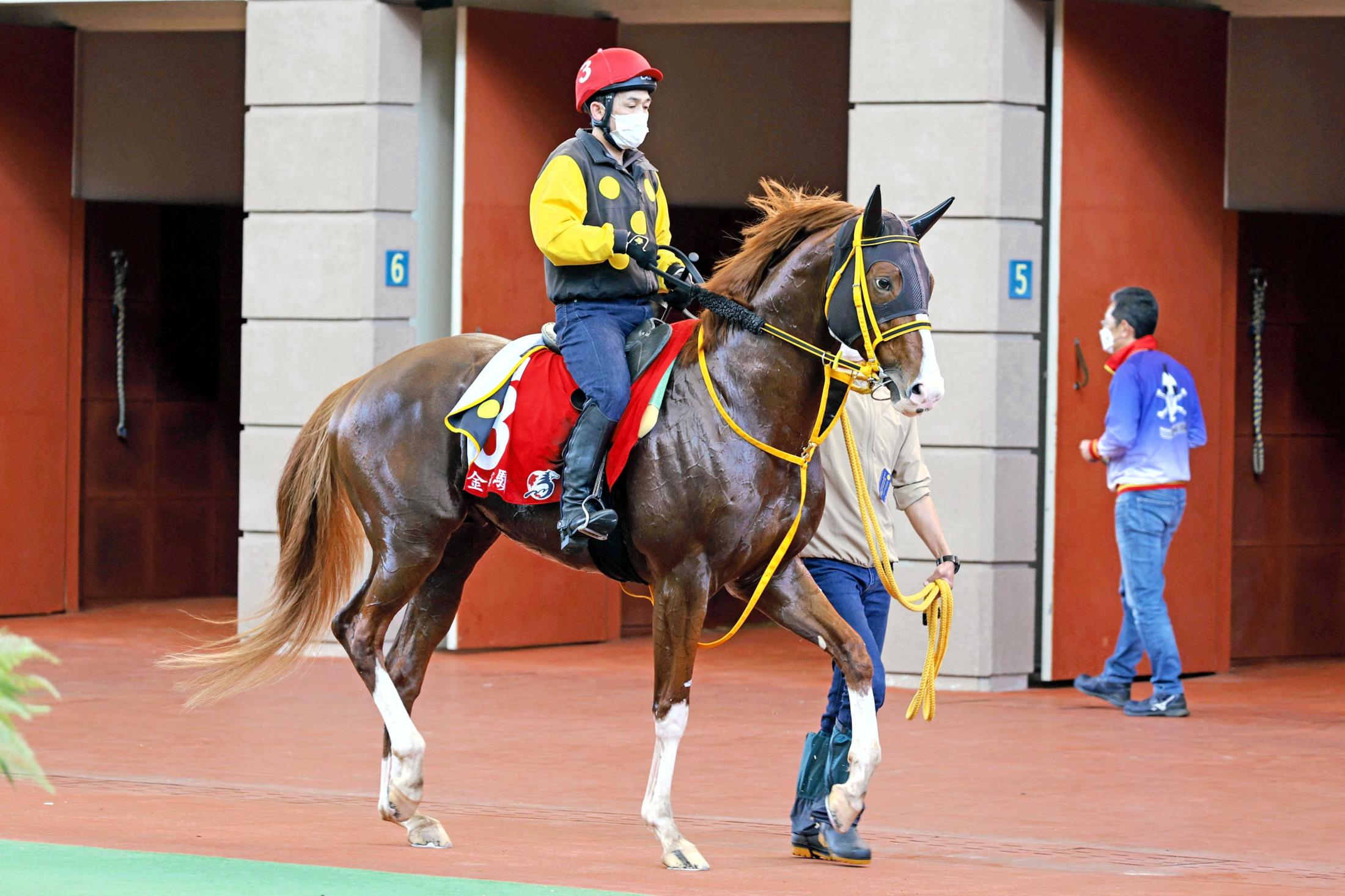 ѥɥåǥ󥰤Ԥåɡ?The Hong Kong Jockey Club