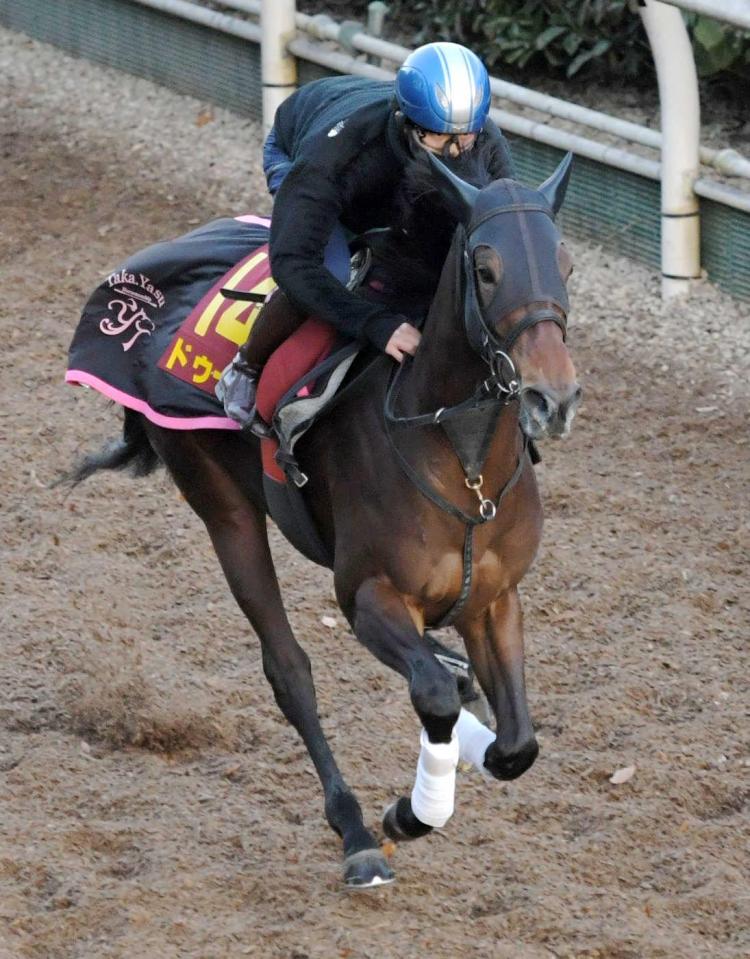 【阪神ＪＦ】ドゥーラ　初のマイル戦に陣営自信　「どこからでも競馬ができる馬」
