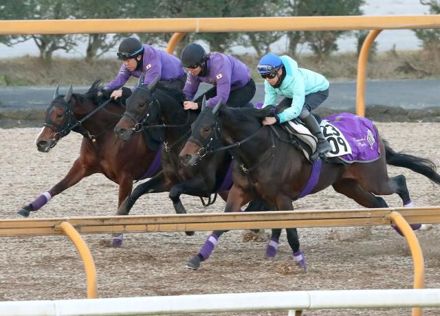 【有馬記念】ポタジェがCWコースで2週前追い　友道調教師「機動力の生かせる中山は合う」