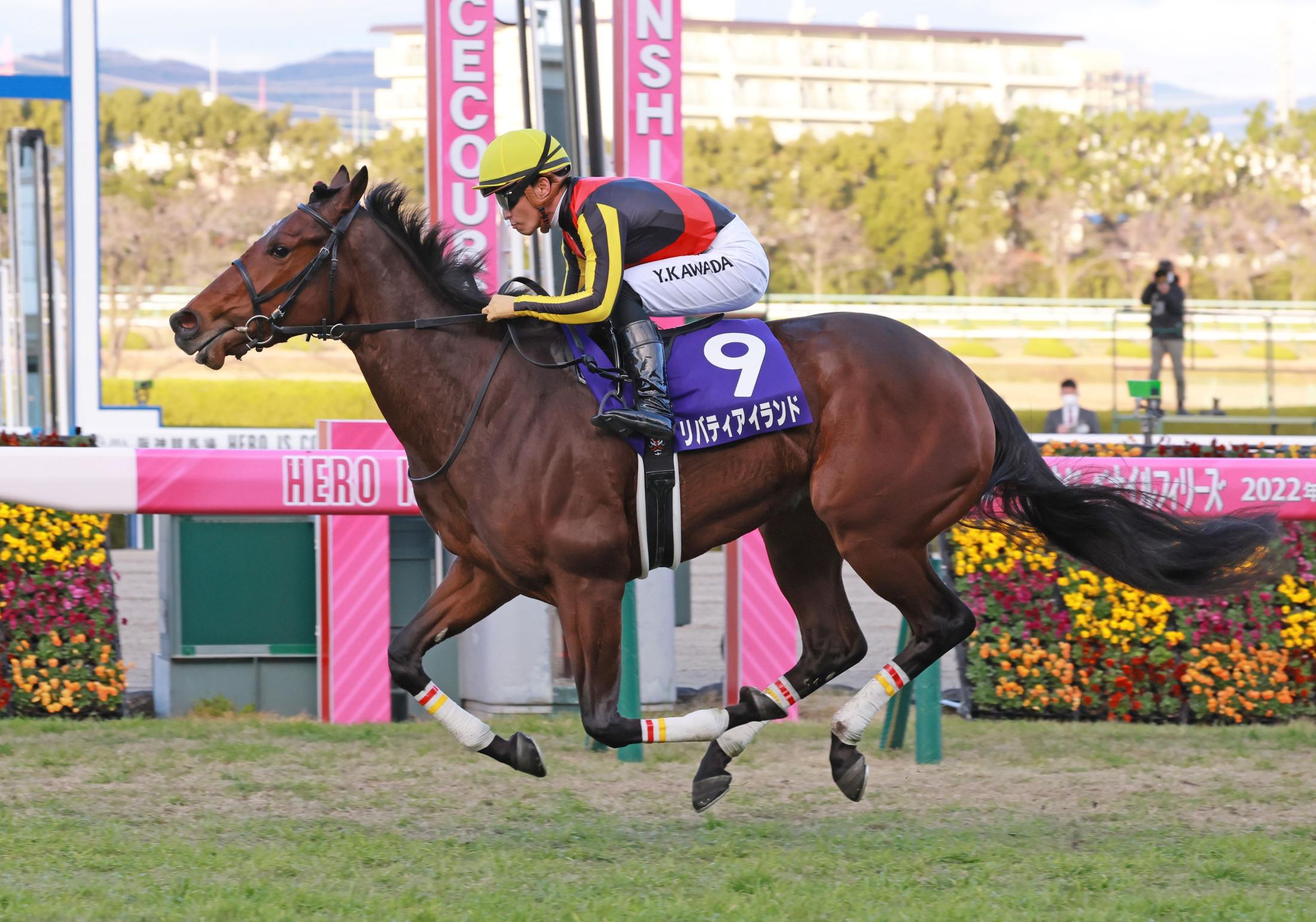 【競馬】リバティアイランド（阪神ジュベナイルフィリーズ）現地単勝馬券／的中 競馬の阪神ジュベナイルフィリーズ、リバティアイランドが優勝