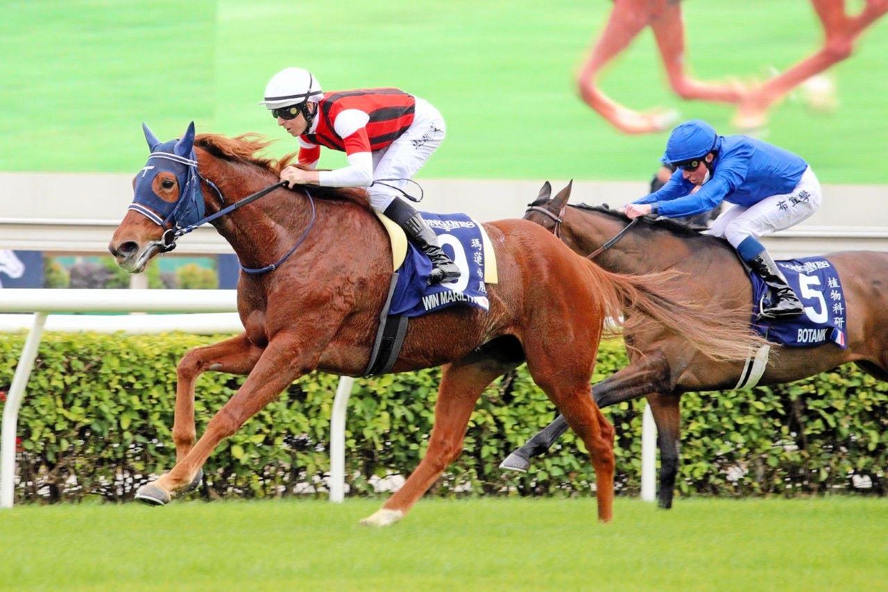 香港ヴァーズ,香港V 競馬記事一覧 | 競馬まとめ - netkeiba.com
