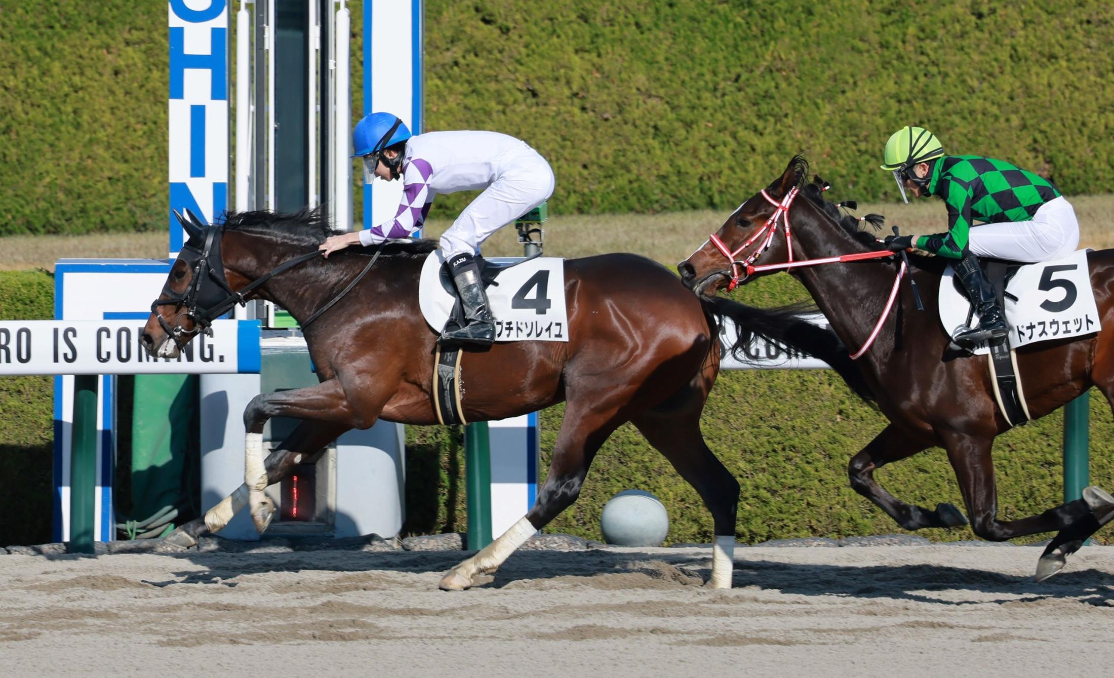 円高還元 LAWN JOCKEY (鋳物製の騎手) ローンジョッキー - メルカリ