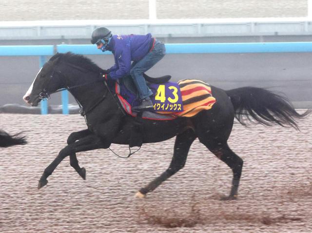 有馬記念】イクイノックスはルメールが騎乗して僚馬に併入「また