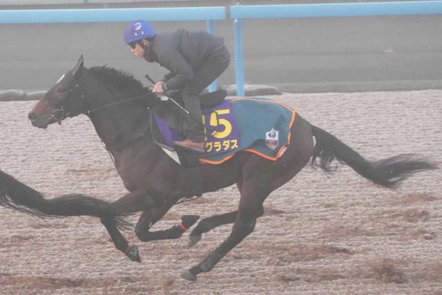 コレクション グラスの朝日杯