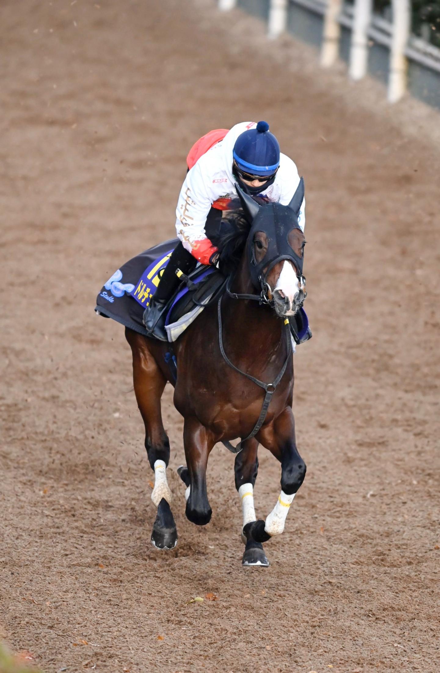 【朝日杯ＦＳ】ドルチェモア絶好枠に須貝師納得顔　状態も「マイナス面が見当たらない」