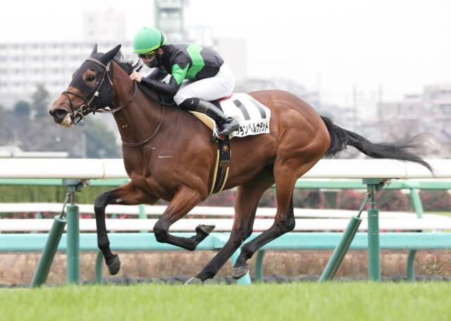 【中山7R・2歳未勝利】グランベルナデットが5か月半ぶり復帰戦快勝 松山弘平騎手「前向きさも出てきた」 | 競馬ニュース - netkeiba.com