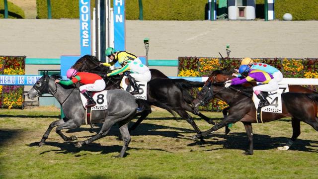 【阪神5R新馬】ゴールドシップ産駒マイネルラウレアV　横山武「ゲート裏では吹っ飛んで落ちそうに」