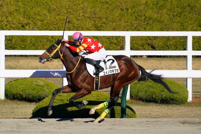 リバティアイランド 川田騎手直筆サイン | fusella.corsica