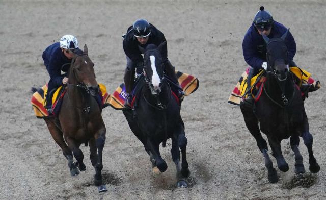 3Ƭʻɤڤ륤Υåˡʻơʹ