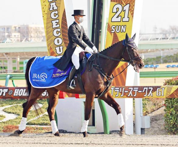 フェブラリーS・Memory】内田騎手の右ムチに応え激戦制す！ サクセスブロッケン/2009年フェブラリーS | 競馬まとめ -  netkeiba.com