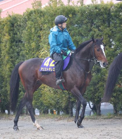 【有馬記念】(4)アリストテレス　武豊ニンマリ「欲しかった枠」