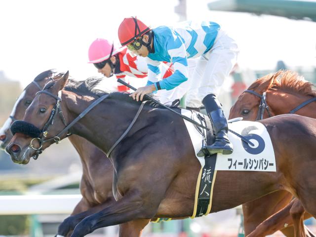 【クリスマスCレース後コメント】フィールシンパシー横山琉人騎手ら