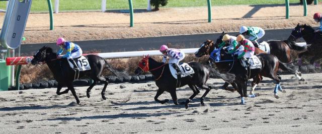 【中山7R】有馬記念デーに大万馬券出たぁ!　3連複162万円超、3連単は864万8760円!!