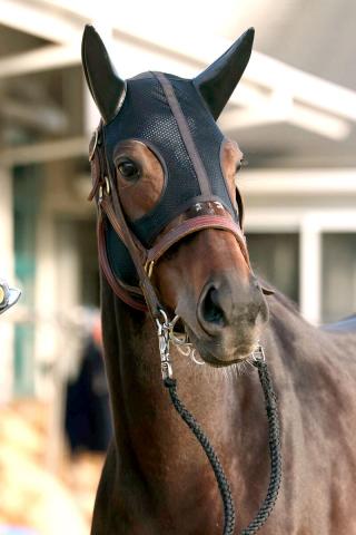 【有馬記念】ジェラルディーナ史上初の母子制覇ならず