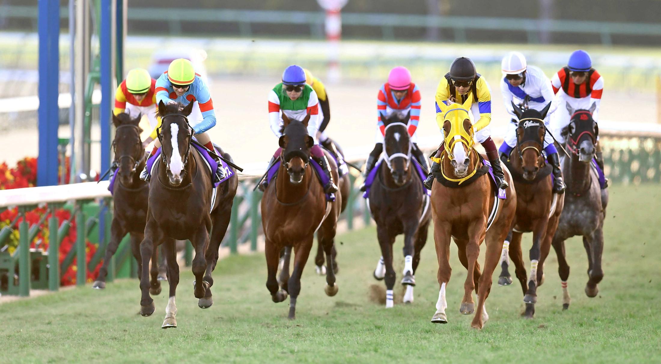 ディープインパクト、イクイノックス イクイノックスはディープインパクトを超えるのか | RCの馬主