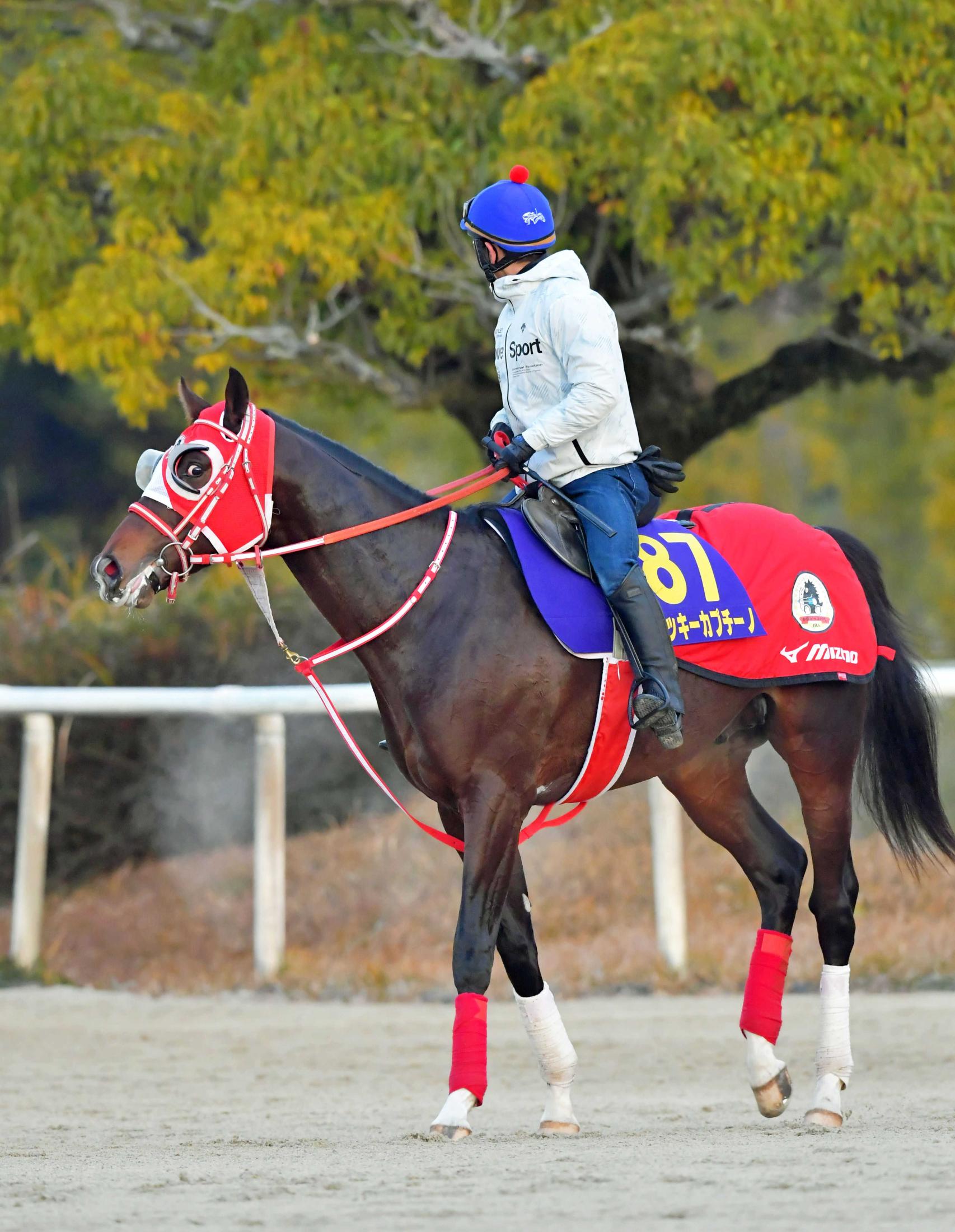 　大器ミッキーカプチーノが力の違いを見せつける（撮影・石湯恒介）