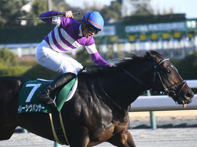 競馬 EPOCH HORSERACING 2023 イルーシヴパンサー 岩田望来 競馬 EPOCH HORSERACING 2023 イルーシヴパンサー 岩田望来