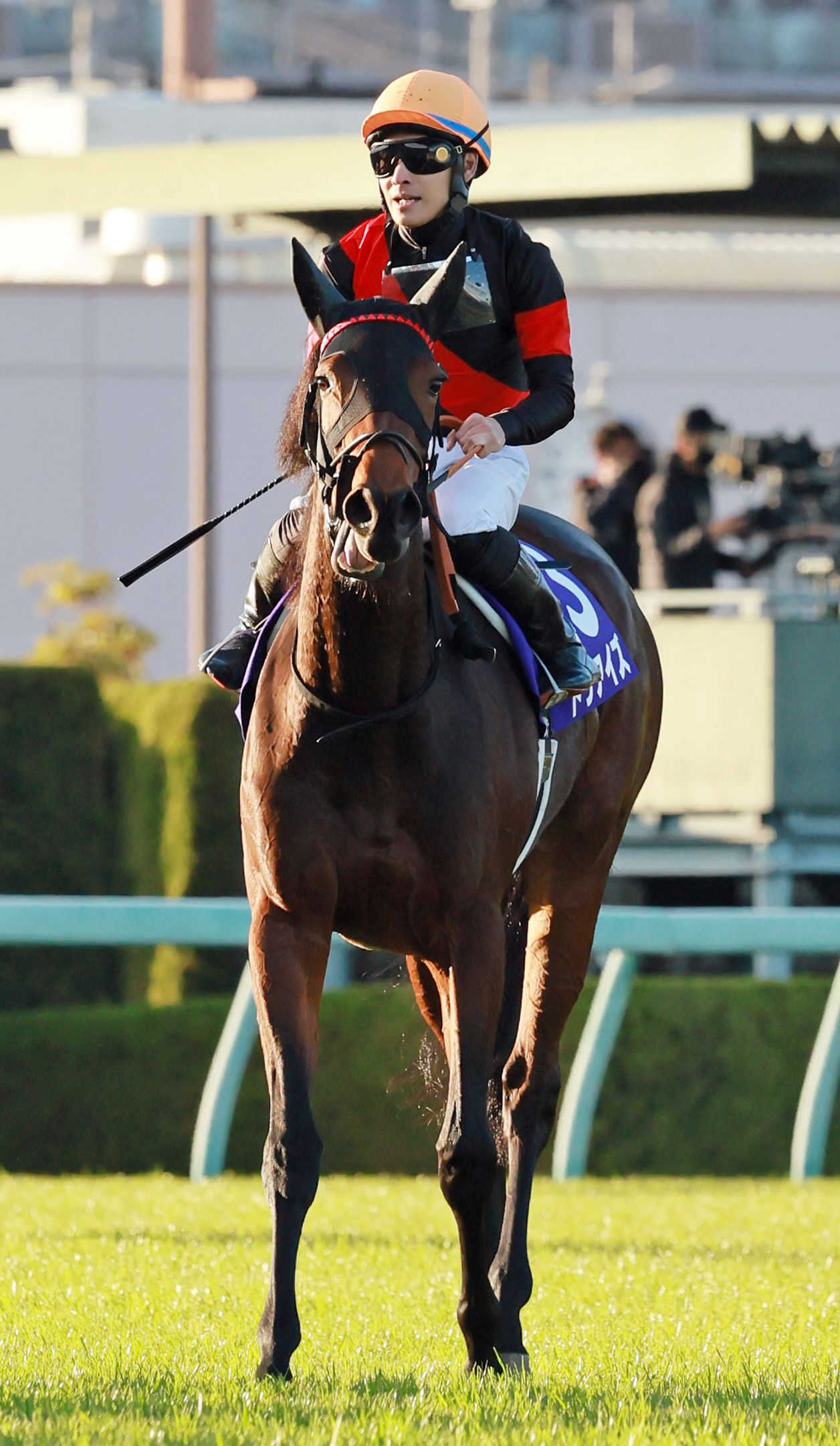 ドゥアイズ　２３年の始動戦はクイーンＣ　阪神ＪＦ３着の実力馬