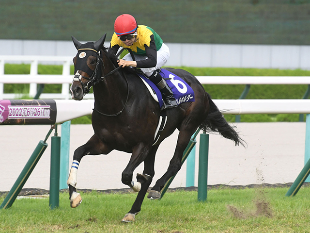 競馬ファンが選ぶ世代別最優秀馬】天皇賞(春)と宝塚記念を制したタイトルホルダーなど/netkeiba大賞 最終結果発表 | 競馬ニュース -  netkeiba