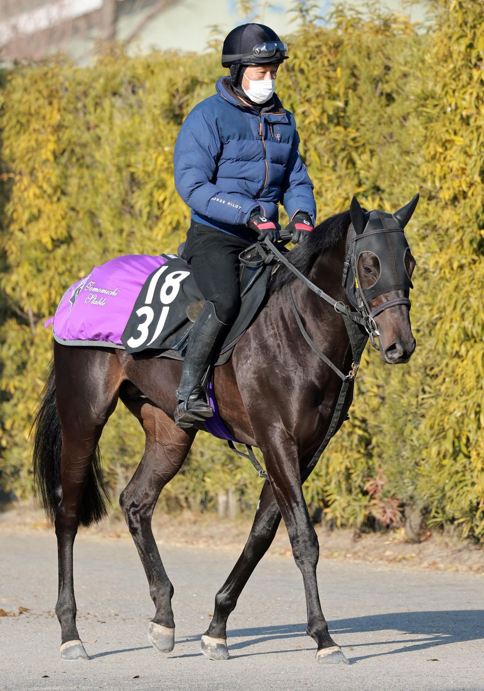 【ＰＯＧ】ヴィンセドリス好仕上がり　Ｇ１・２勝ヴィブロス初子