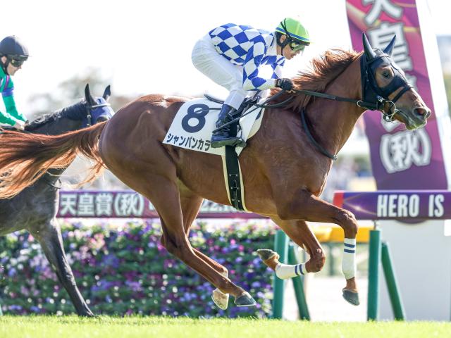 【京成杯】田中剛厩舎期待の大器シャンパンカラーは“ジェットコースターの加速”/POGマル秘週報