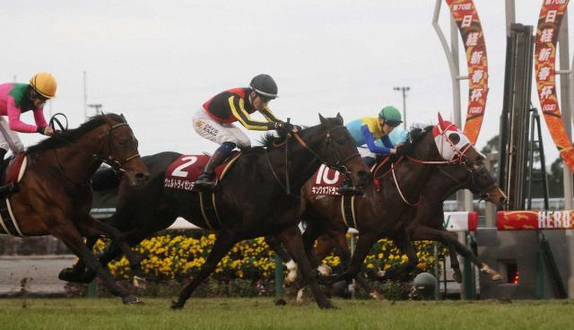 【日経新春杯】ヴェルトライゼンデがV　トップハンデ59キロ関係なし、ジャパンC3着馬が意地見せた