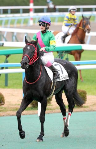 ながしままなみ,永島まなみ 競馬記事一覧 | 競馬まとめ - netkeiba.com