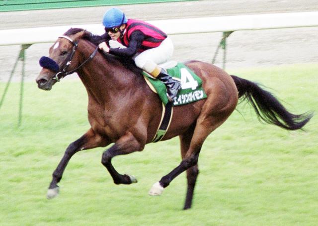 1996年から関屋記念連覇など重賞3勝のエイシンガイモンが30歳で死す