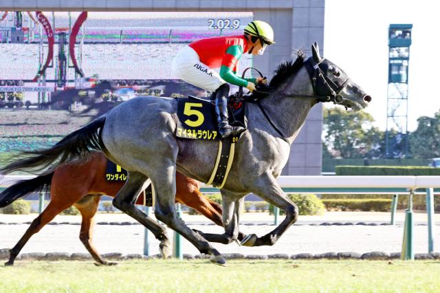 競馬 実使用レースゼッケン マイネルアウラート-