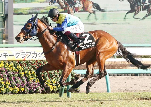 中山9R・若竹賞】4番人気のパクスオトマニカが逃走V 横山武史騎手