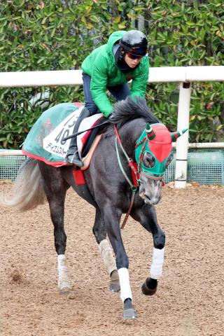 【シルクロードS】テイエムスパーダ　重い馬場も苦にせず52秒4　五十嵐師「牡馬みたいなフットワーク」