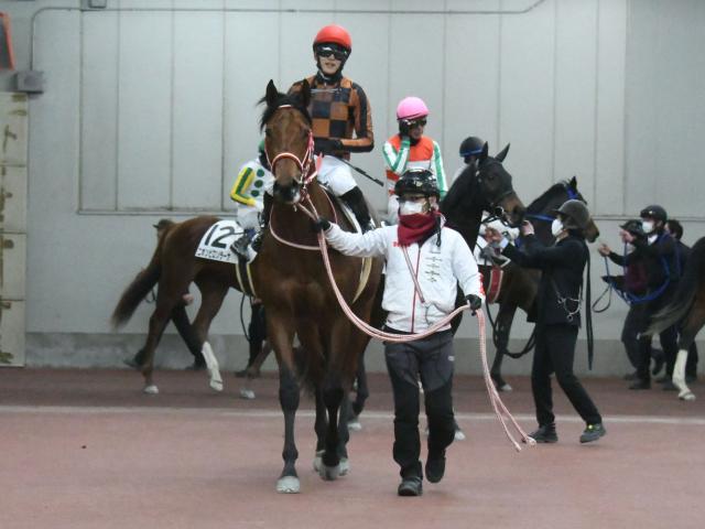 池島式競馬一発必中の極意 ピンポイントでヒットする裏ヨミの決定版-