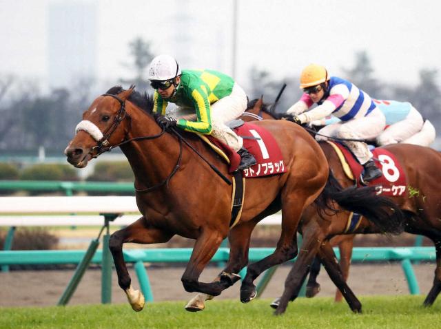 白富士Sで競走中止のサトノフラッグ、左前肢ハ行　JRAが発表