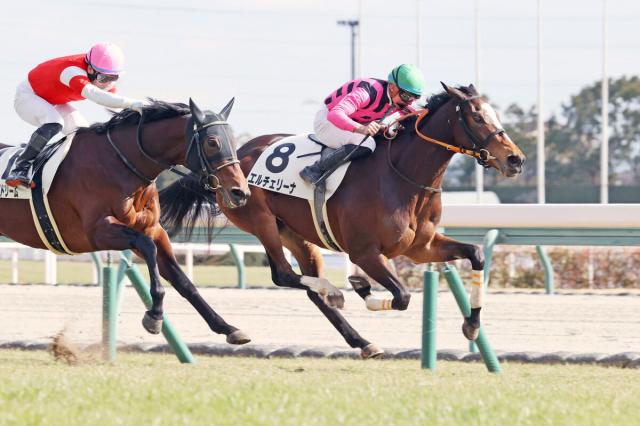 【中京6R・3歳新馬】ファンディーナの初子エルチェリーナがデビューV　岩田望来騎手「能力で勝ってくれた」