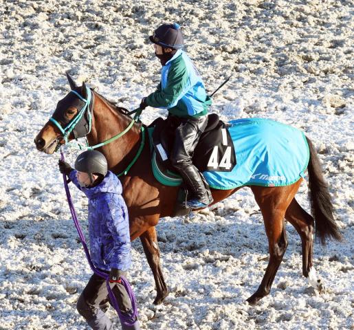 【次回注目馬】エアメテオラ馬場合わず3着　松山弘平騎手「いつも以上に脚を取られました」