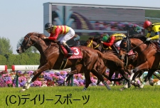京都新聞杯・ハギノハイブリッドが末脚一閃