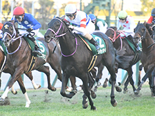 素晴らしい 特別セーフ その他 JRA レッドガロン 競馬バナー天皇賞秋