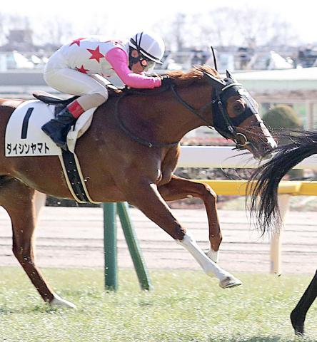 【次回注目馬】抜群の行きっぷりで連対確保したダイシンヤマト　吉田豊騎手「2戦目で変わってくれた」