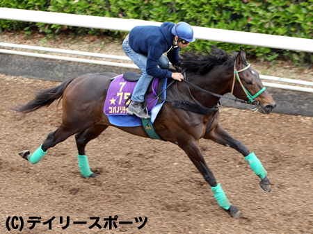 コパノリチャードはここに全力投球、宮師「安田記念は使わないと思う」/京王杯SC 競馬ニュース netkeiba