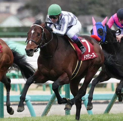京都記念快勝のドウデュース、ドバイターフ2番人気タイ　英ブックメーカーが設定