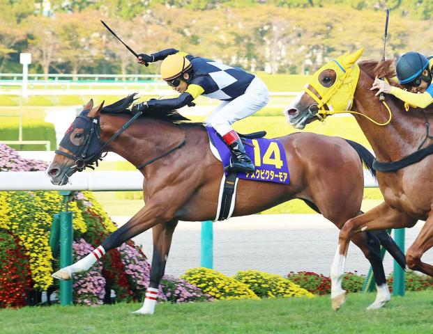 【注目馬動向】アスクビクターモア日経賞から始動　田村師「体が大きくなって落ち着きも」