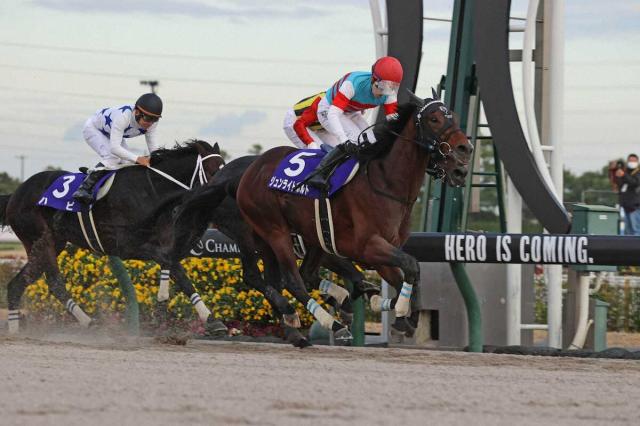 サウジカップ】出走馬13頭が確定 ジュンライトボルト8倍で3番人気